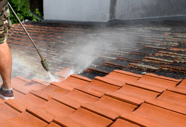 Best Concrete Pressure Washing  in Travis Ranch, TX
