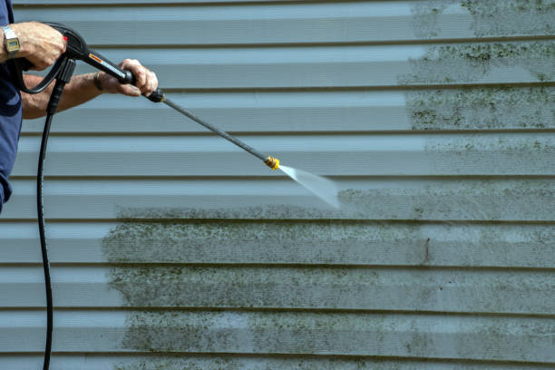 Best Best Pressure Washing Companies  in Travis Ranch, TX