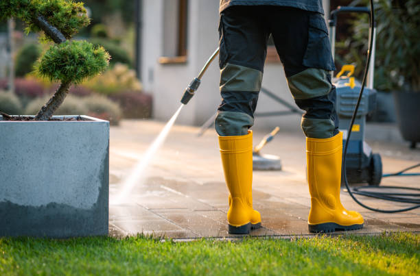 Best Sidewalk Pressure Washing  in Travis Ranch, TX